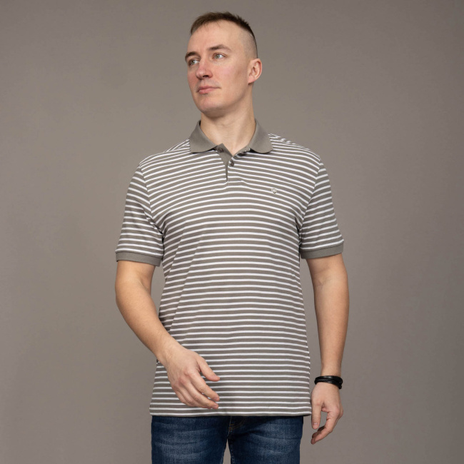 Поло NCS 